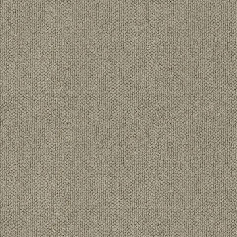 Alyssum carpet swatch